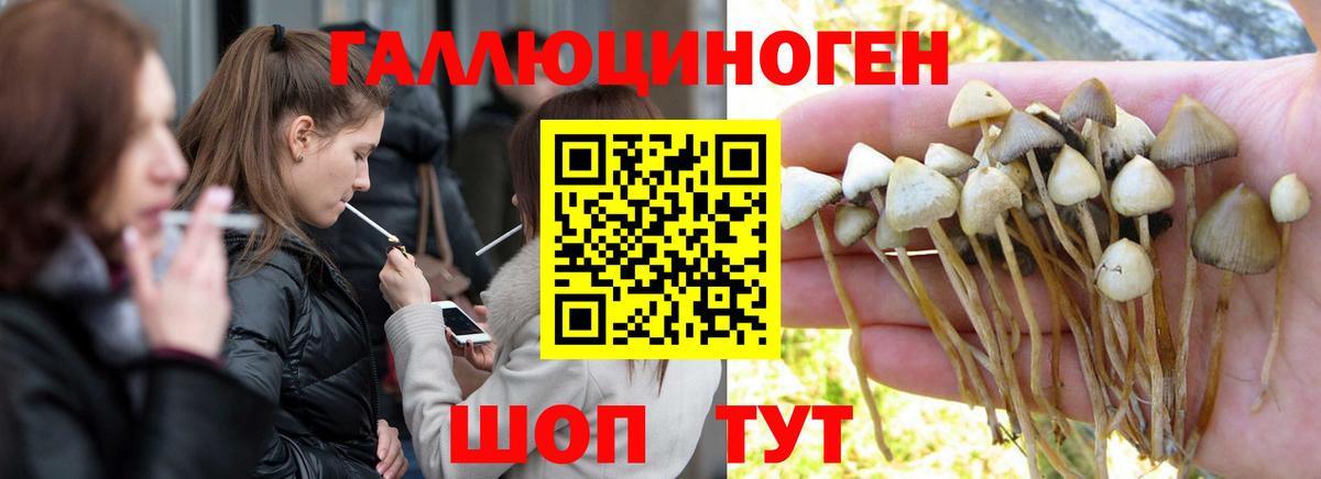 Галлюциногенные грибы прущие грибы Дивногорск